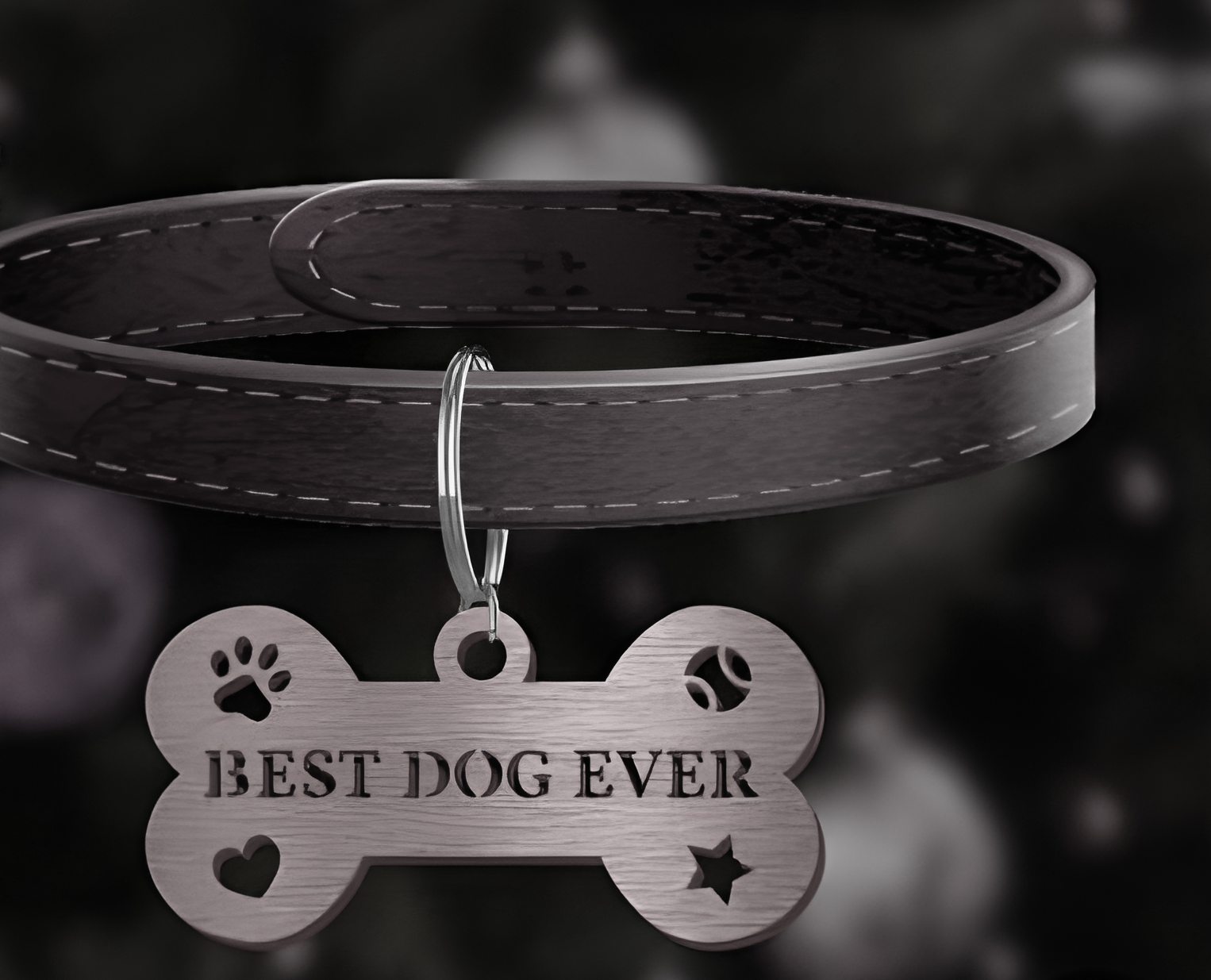 Best Dog Ever Name Plate or Xmas Decor - Image 3