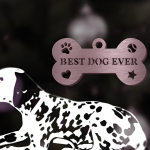 Best Dog Ever Name Plate or Xmas Decor