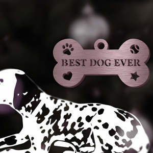 Best Dog Ever Name Plate or Xmas Decor