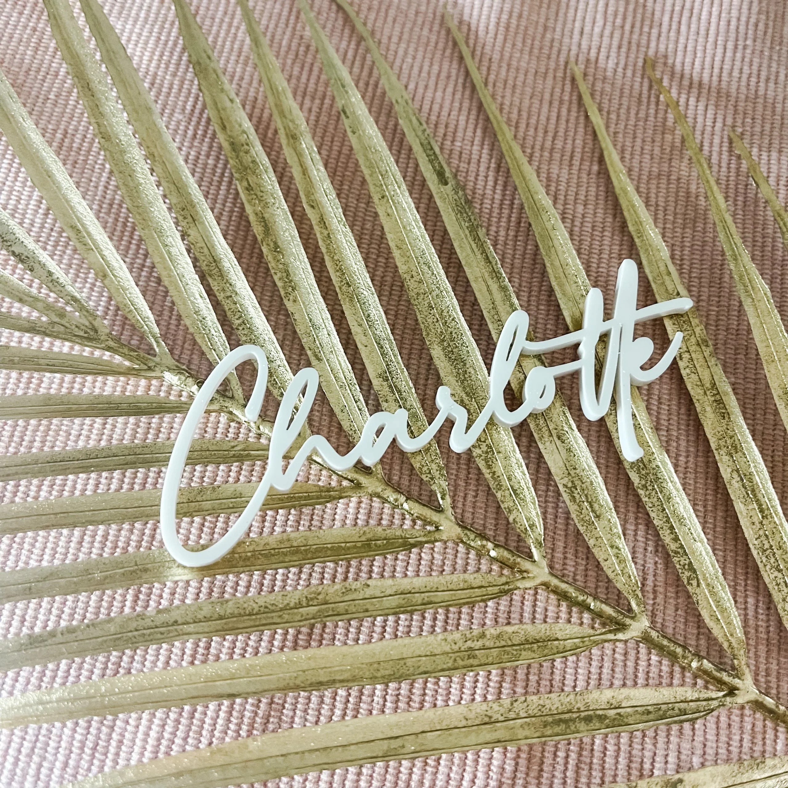 Luxury Cut Out Wedding Name Places - Image 2
